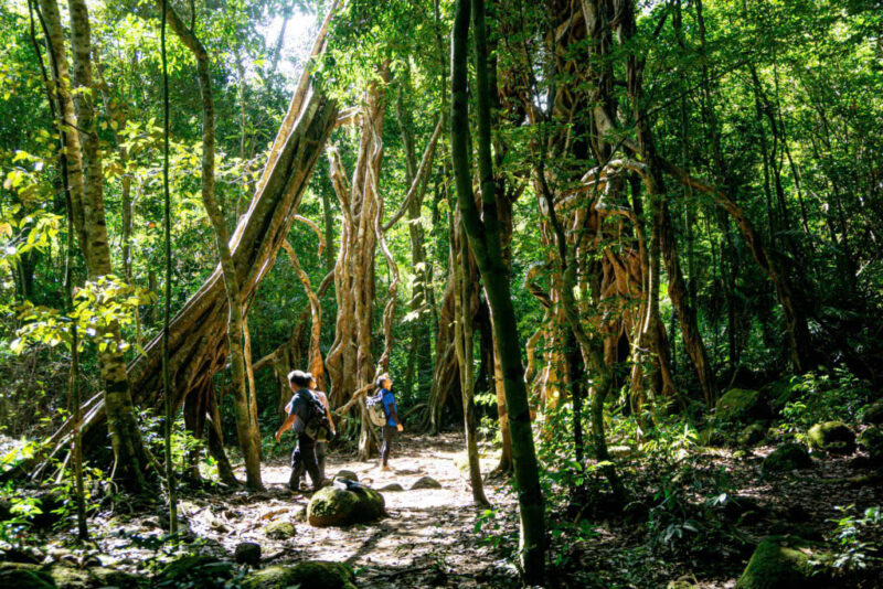 NAM CAT TIEN NATIONAL PARK -  LAM DONG